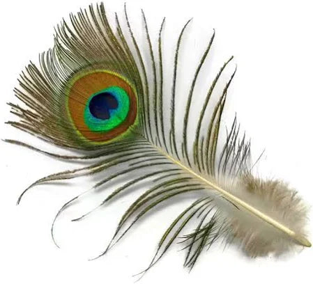 samudru