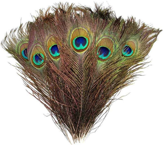 Peacock Feather Eyes 2-6 Cm Peacock Feather Feathers 40-50cm