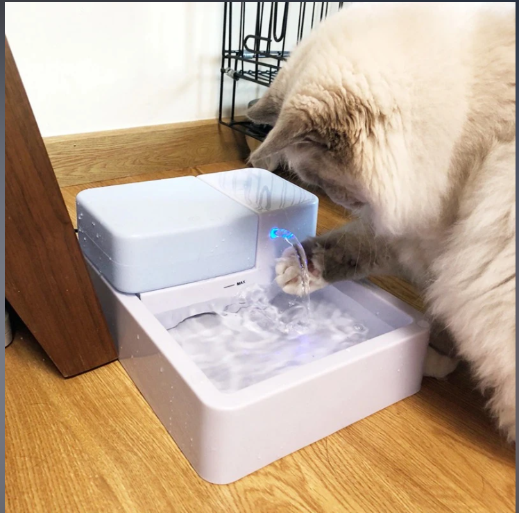 Filter Circulating Dog Drinking Water Feeder